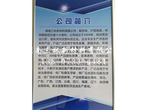 公司简介